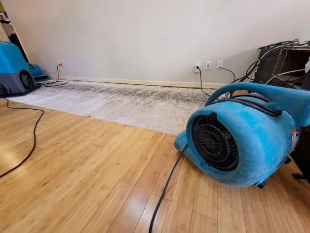 Professional Basement Flood Cleanup technician working in Roebuck, SC